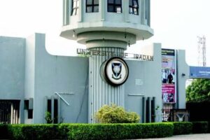 Gaining Admission to UI Tougher Than Getting Camel Through Eye of a Needle — Lecturer