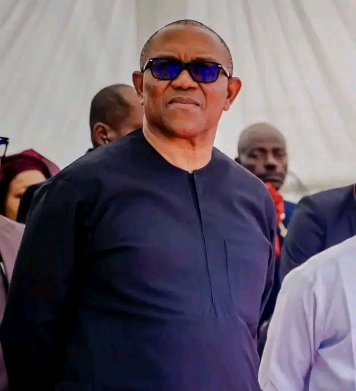 Obi Endorsement Shows NDC Means Business for 2027, Says Ochei