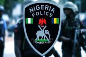 Oyo Police Capture Kidnap Gang Member, Frees 20-Year-Old Abducted Farmer