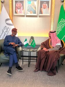 Nigeria Eyes Top Spot As Africa’s Minerals Hub With Lithium, Gold Projects