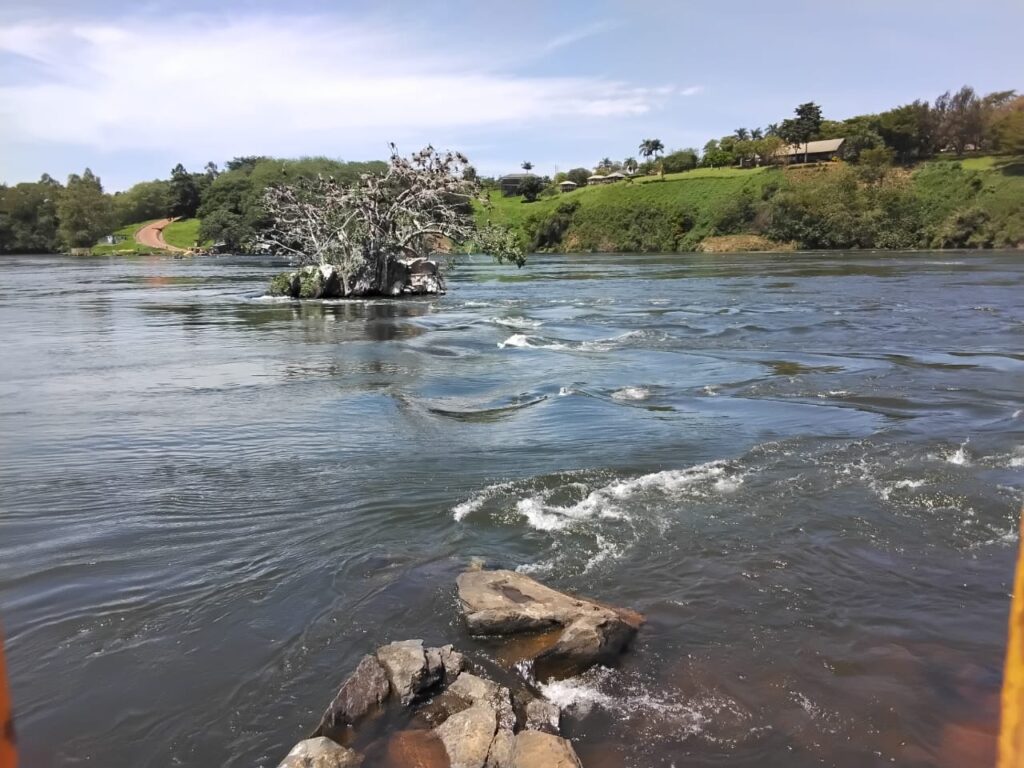My Pilgrimage To The Nile's Ground Zero