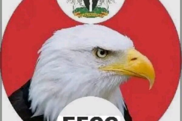 EFCC Chair Reveals Six-Month Probe Of Pastor Jerry Eze Over Alleged Money Laundering