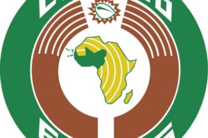 Disability Data Breakthrough: ECOWAS Validates Groundbreaking Regional Framework In Abuja