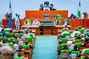 House of Representatives to FG: Protect Nigerians in South Africa
