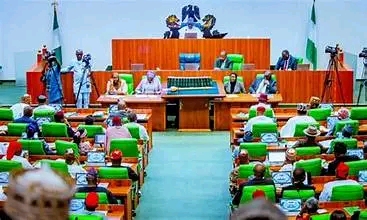 House of Representatives to FG: Protect Nigerians in South Africa
