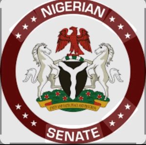 Senate Cautions Makinde Over UN Appeal