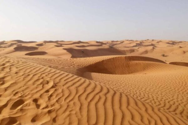Desert Rich, Sand Poor: Saudi Arabia Forced to Import Sand from Australia Despite Endless Dunes