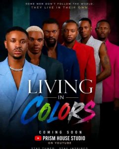 NFVCB Warns Producer of LGBTQ+ Movie 'Living in Colors' Ahead of Lagos Premiere