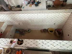 Youths Destroy Marine Deity Shrine In Onne, Rivers
