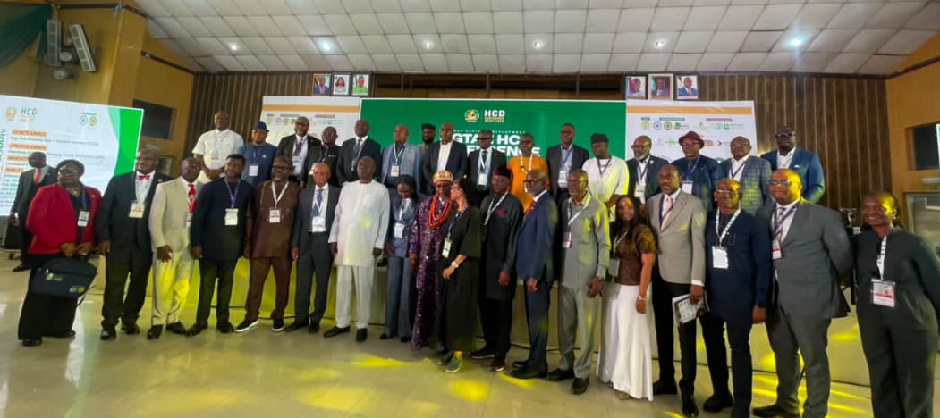 Industry Experts Urge Nigeria to Prioritise Competence for Energy Transition
