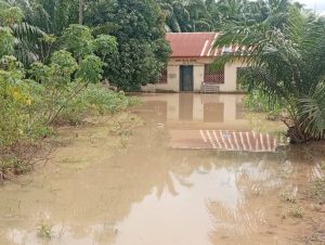 Flood Ravages Four Enugu Communities As Residents Flee Homes