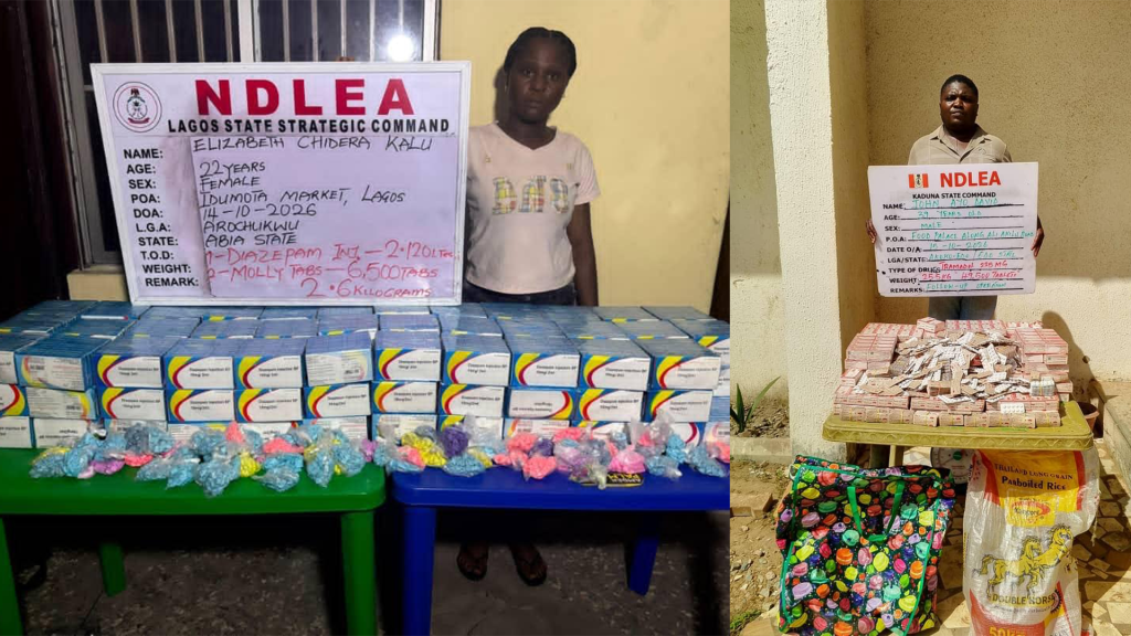 NDLEA Intercepts Saudi-Bound Drugs in Palm Oil Keg