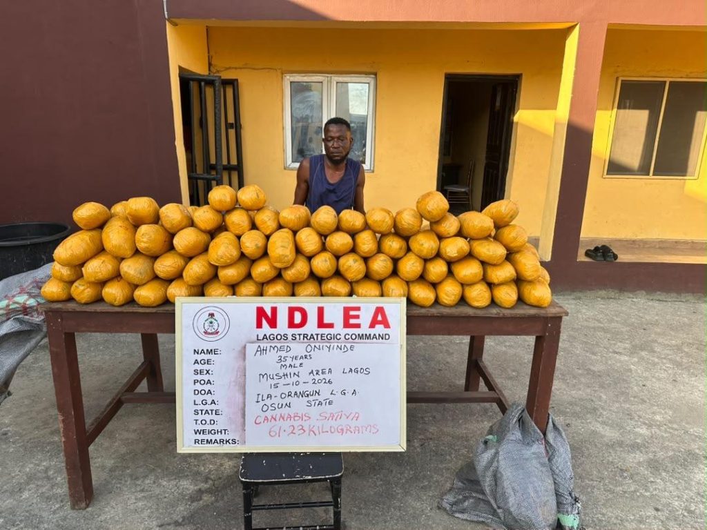 NDLEA Intercepts Saudi-Bound Drugs in Palm Oil Keg